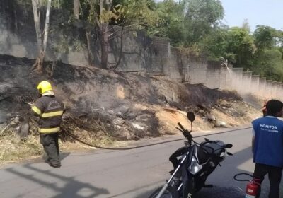 VÍDEO: Câmera flagra homem ateando fogo em área externa do INPA