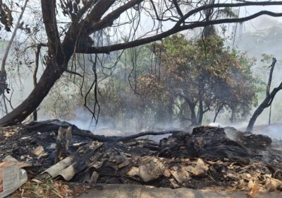 VÍDEOS: Incêndio consome área de mata no Distrito Industrial