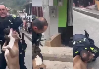 VÍDEO: Pitbull ataca policial durante ocorrência e só larga após ser morto