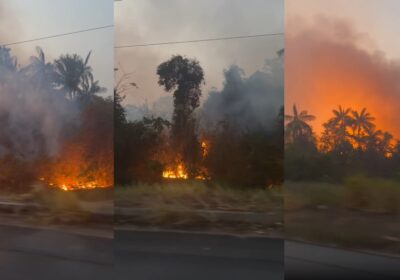 VÍDEOS: Fogo em área de mata assusta motoristas em Manacapuru no AM