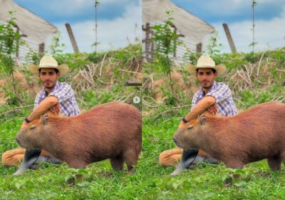 Capivara ‘Filó’ é atingida por um remo no AM: “Tentaram matar a Filó”!