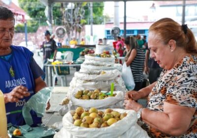 Feiras de Produtos Regionais da ADS: confira a programação desta semana