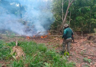 Homem é preso por provocar incêndio em área de mata no interior do AM