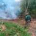 Homem é preso por provocar incêndio em área de mata no interior do AM