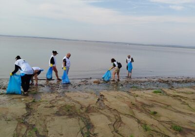 Instituições e Consulado da Suécia realizam limpeza da praia da Ponta Negra