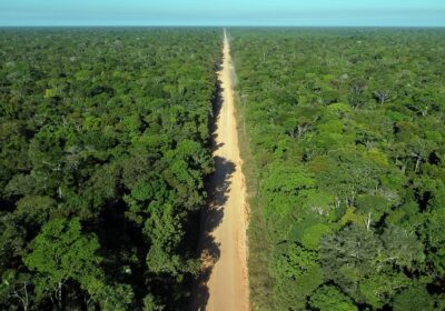 Observatório BR-319 lança mapa interativo com dados sobre a rodovia