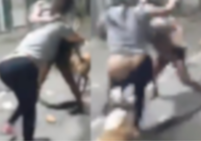 VÍDEO: Mulher fica com bunda à mostra após cachorro arrancar calça em briga