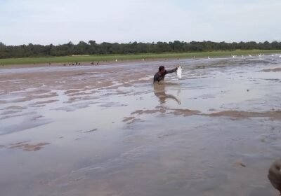 VÍDEO: Pescadores do AM ‘pescam’ peixe no seco: “Não é história de pescador”