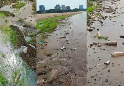 VÍDEO: Seca revela lixo e falta de limpeza na Praia da Ponta Negra