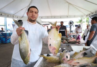 Confira as programações das feiras da ADS e do feirão do Pescado em Manaus