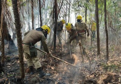 Corpo de Bombeiros combate incêndio atinge área de vegetação em Manaus