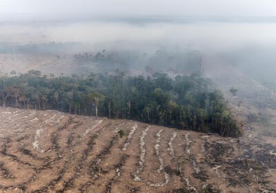 Desmatamento na Amazônia cai 30,6% com menor área desmatada desde 2013