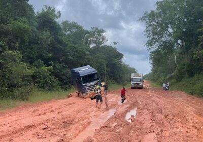 MPF pede suspensão de licenciamento das obras em trecho da BR-319