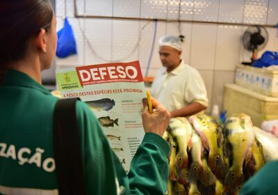 Período de Defeso inicia na sexta-feira no AM e proíbe pesca de 10 espécies