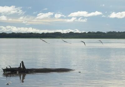 Seca: governo paga auxílio para pescadores da Região Norte