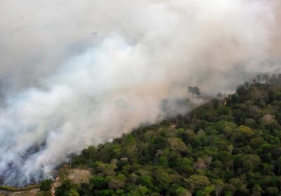 Terras indígenas que lideram exploração madeireira estão em área de influência da BR-319