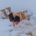 VÍDEO: Deserto saudita fica coberto de neve pela 1ª vez na história