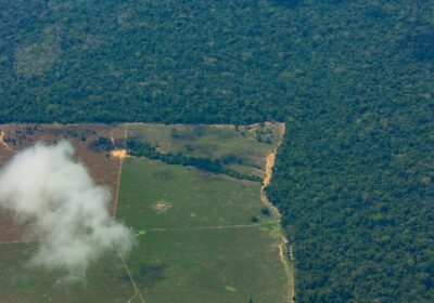 Amazônia tem 20 mil fazendas em áreas indígenas e de conservação