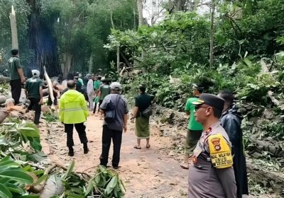 VÍDEO: Turistas morrem após queda de árvores durante visitação a santuário