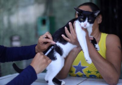 Vacinação antirrábica será realizada em supermercado de Manaus