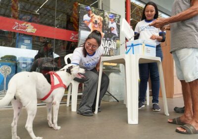 Campanha antirrábica: confira 37 pontos fixos para vacinar animais em Manaus