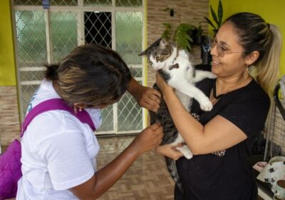 Campanha antirrábica segue com vacinação em Manaus