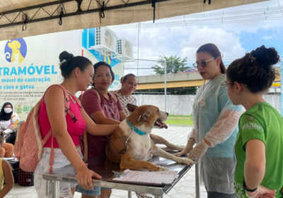 Castramóvel realiza agendamentos solidários para cães e gatos em Manaus