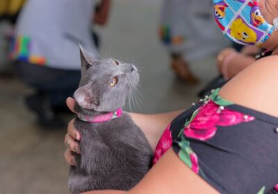 Zona norte de Manaus tem novo ponto de vacinação antirrábica; confira