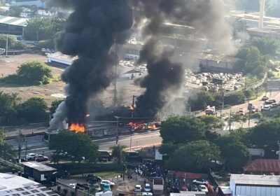 CENAS FORTES! Vídeos mostram queda de avião em avenida de São Paulo; duas pessoas morreram