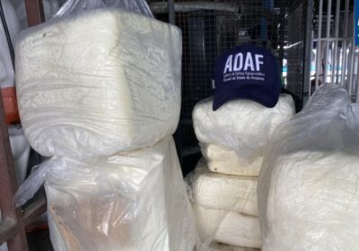 Ação apreende 85 kg de queijo clandestino e descarta em lixão no AM